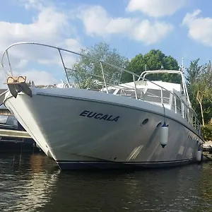 Eucala Motor Yacht East Molesey